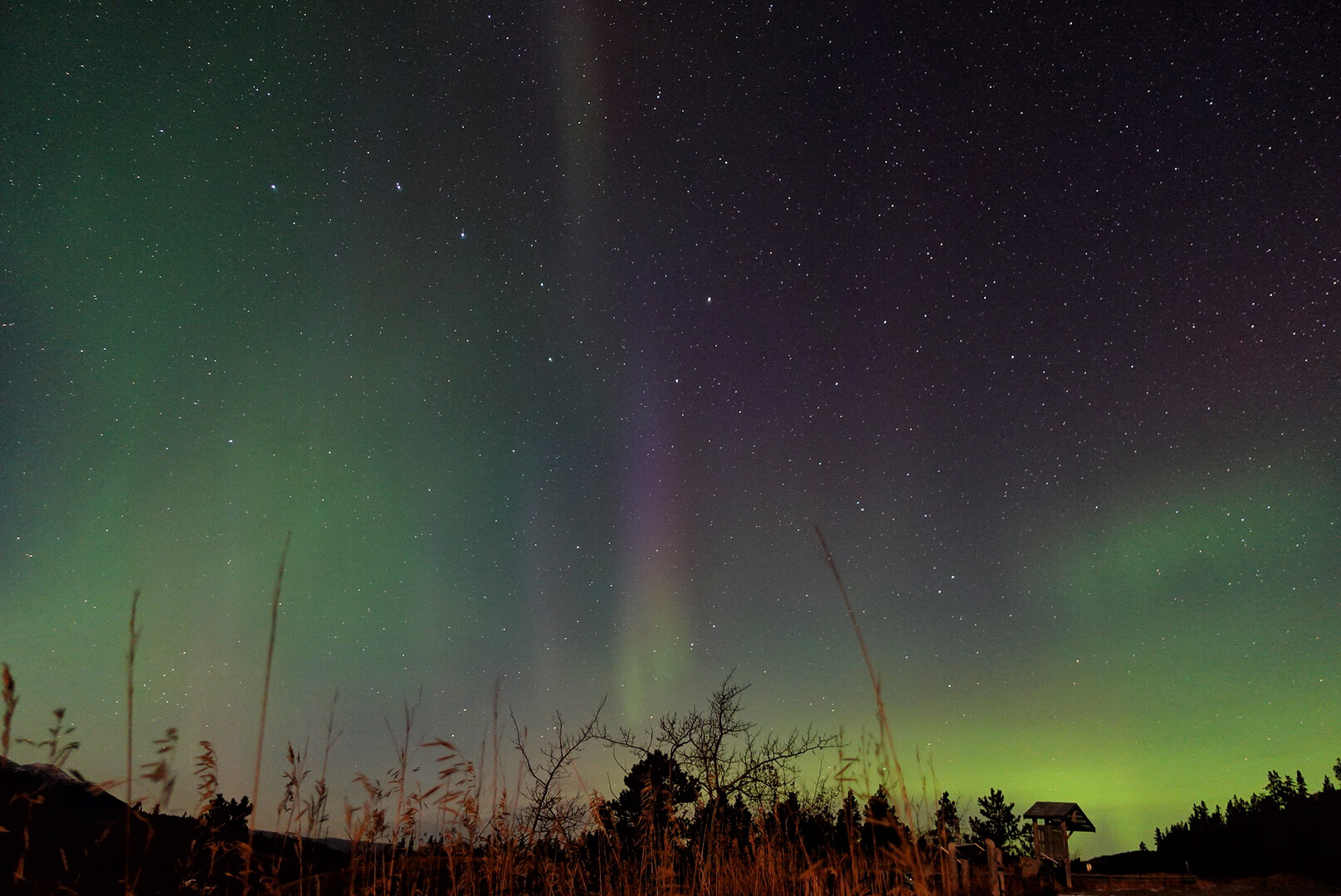 Northern Lights in Yukon