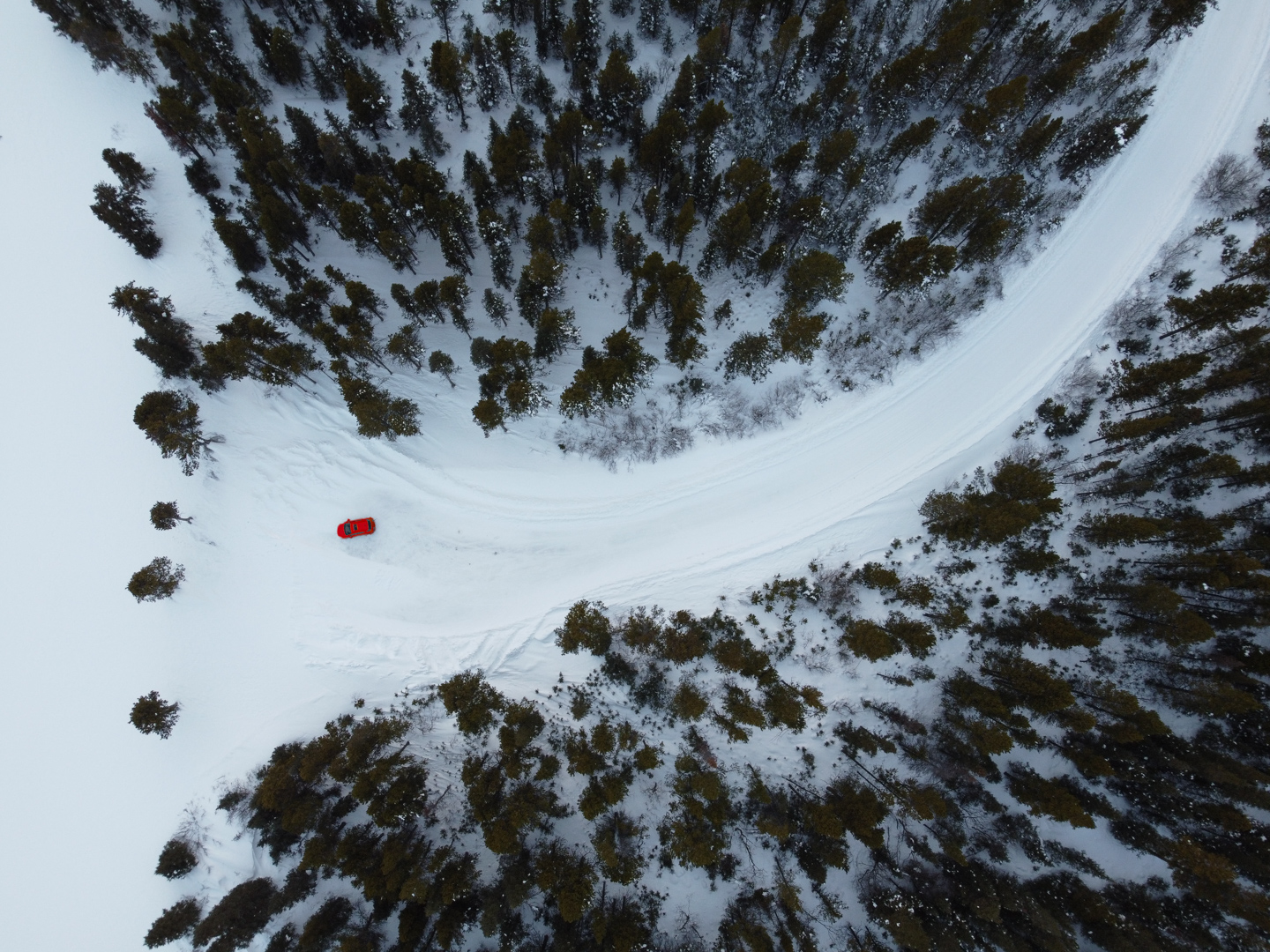 Driving into the snow white